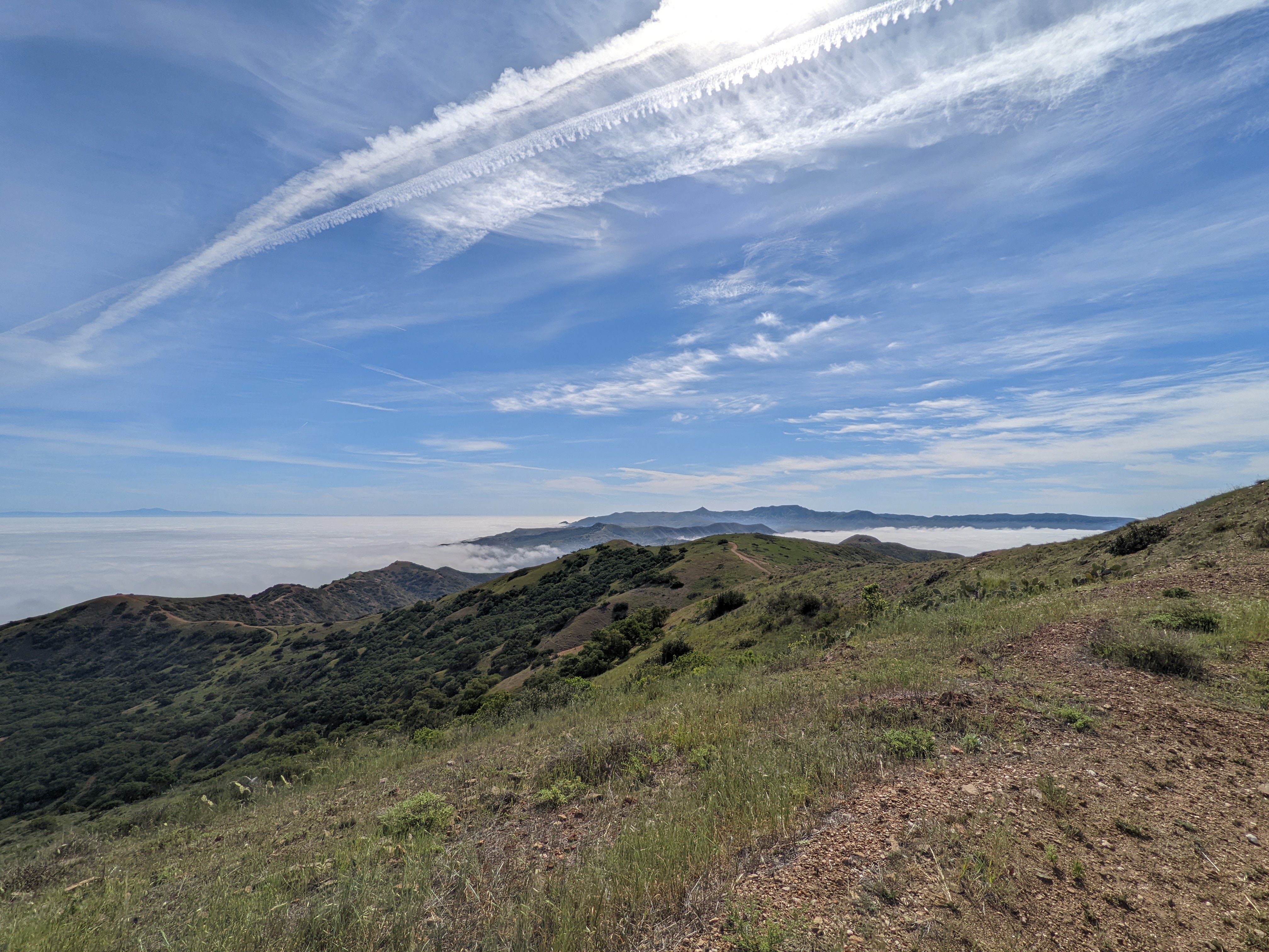 The ridge lines of catalina island in a sea of clouds